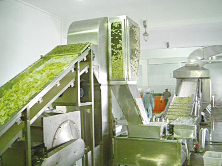 脱水蔬菜带式干燥机