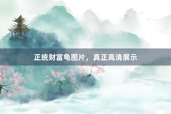 正统财富龟图片，真正高清展示