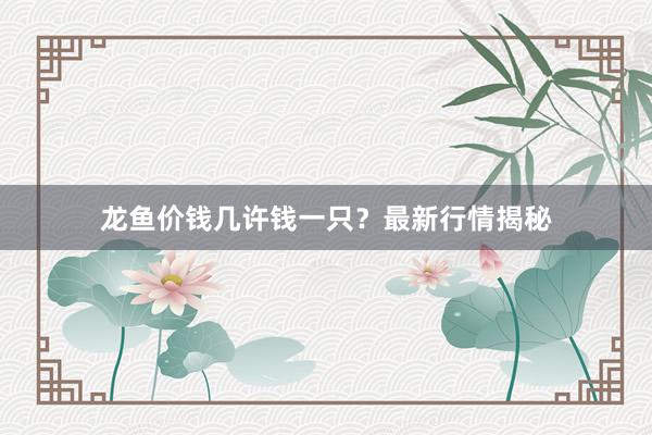 龙鱼价钱几许钱一只？最新行情揭秘