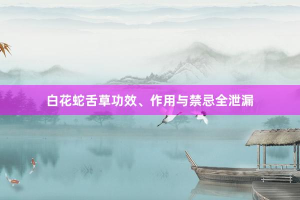 白花蛇舌草功效、作用与禁忌全泄漏