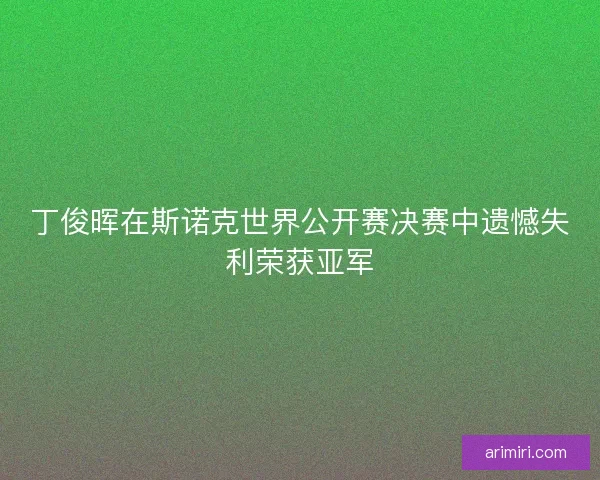 丁俊晖在斯诺克世界公开赛决赛中遗憾失利荣获亚军